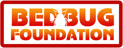 bed bugs foundation