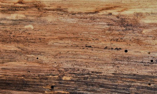 wood.